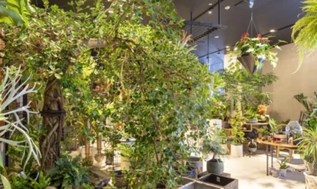 CRAZY GREEN 店内。観葉植物が並ぶ明るいショップフロア